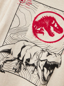 NAME IT T-shirt Just Jurassic Peyote Melange